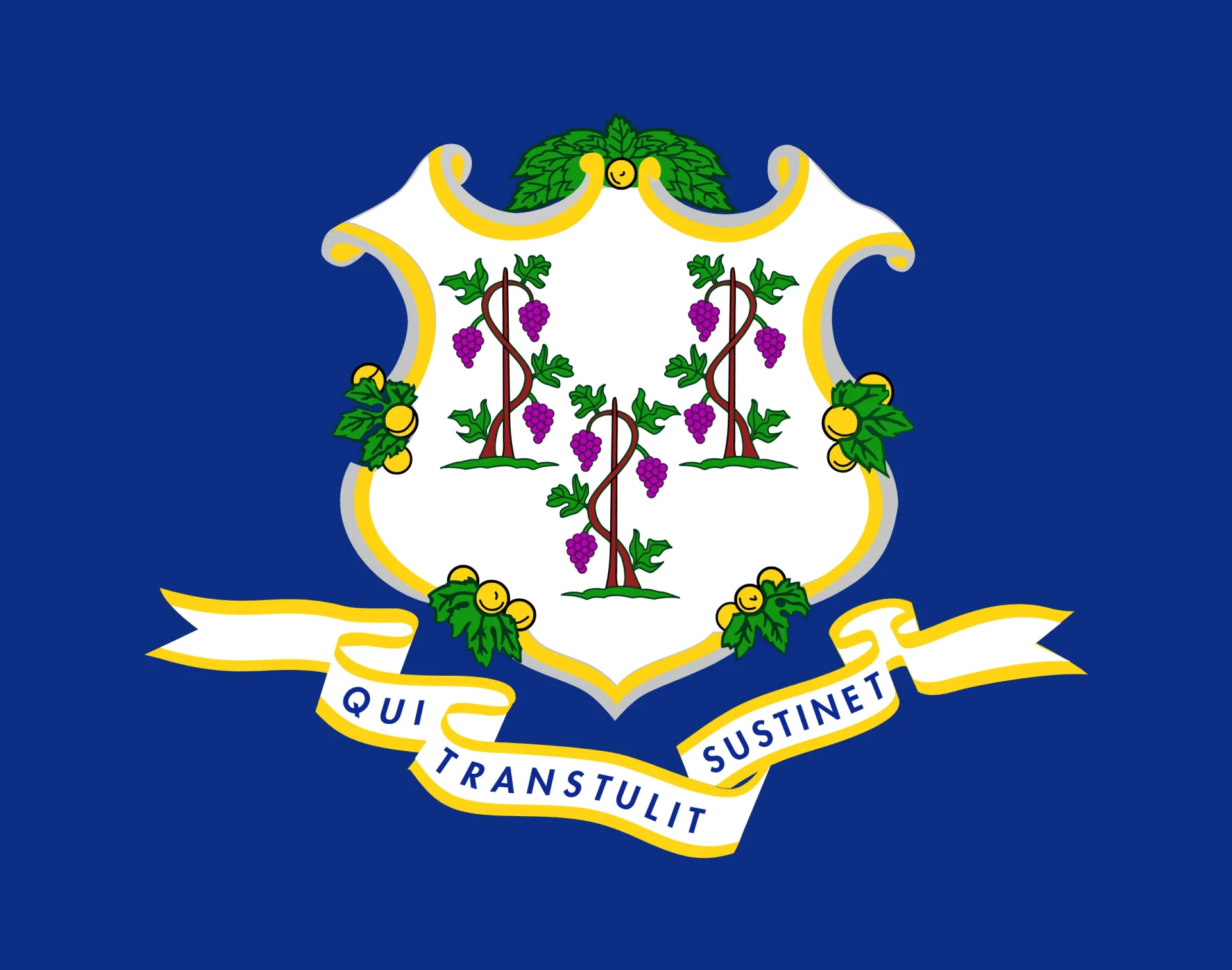 Connecticut State Flag - E-Bike Laws
