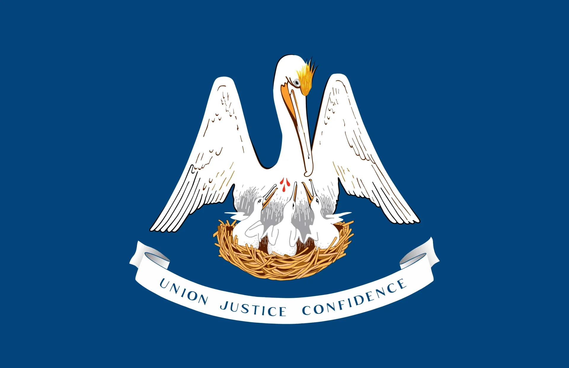 Louisiana State Flag - E-Bike Laws