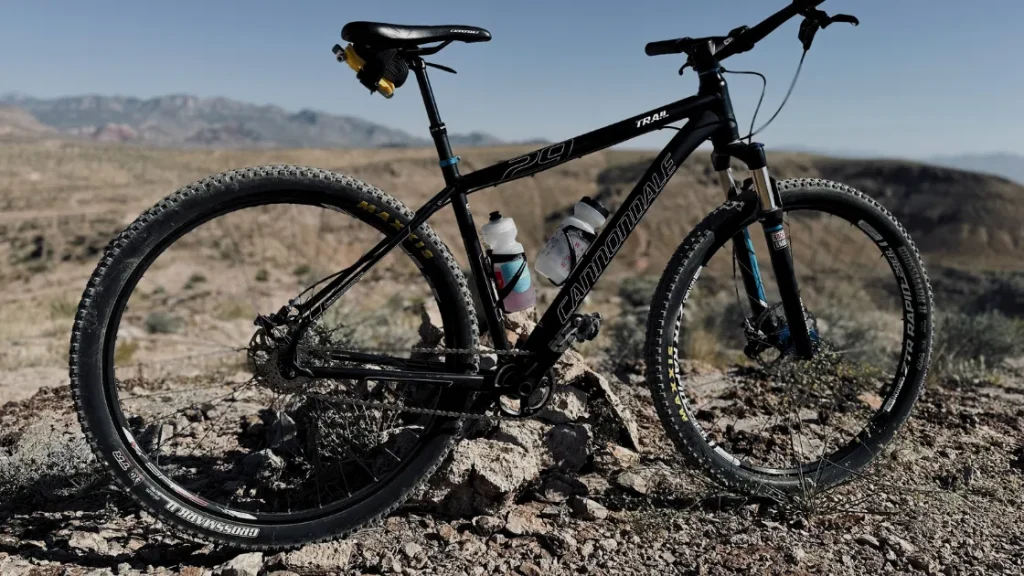 Single speed mountain bike gearing online